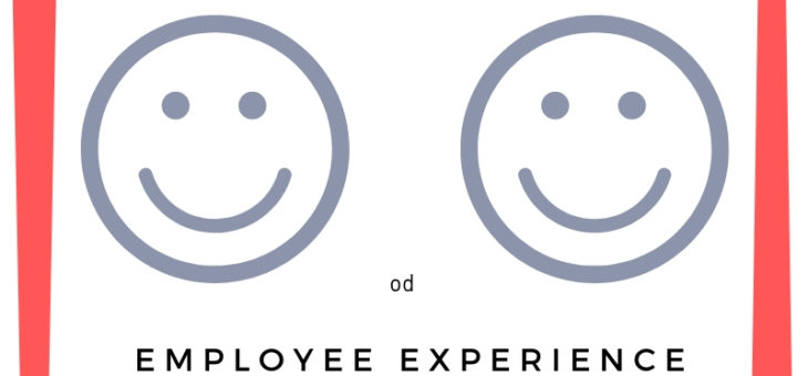 Employee/ customer experience